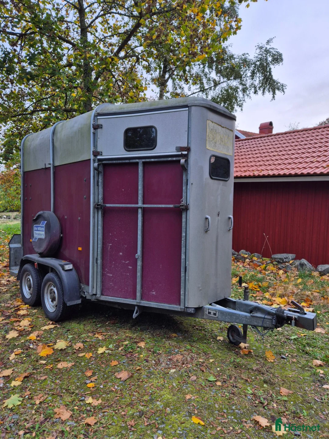 Hästtransporter  fordon & transport till salu: Ifor Williams HB505R - Annons 1