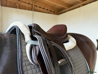 Sadlar hästutrustning till salu: Prestige Michel Robert i Arvika - Annons 18