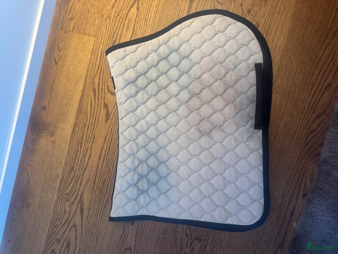 Schabrak & Vojlockar hästutrustning till salu: Cavalleria Toscana - Annons 5