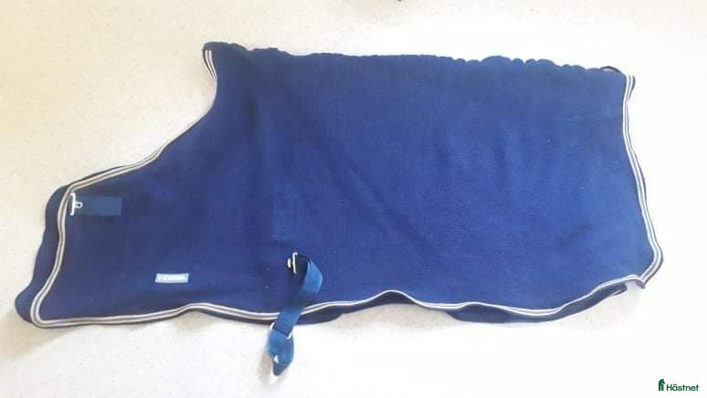 Täcken hästutrustning Svett/Transporttäcke  i Veddige - Annons 14