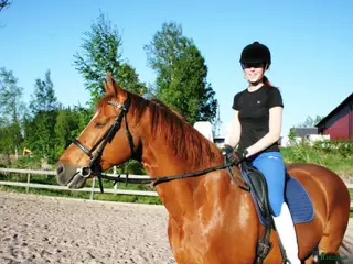 hästar Dressyr läromästare sökes - Annons 13