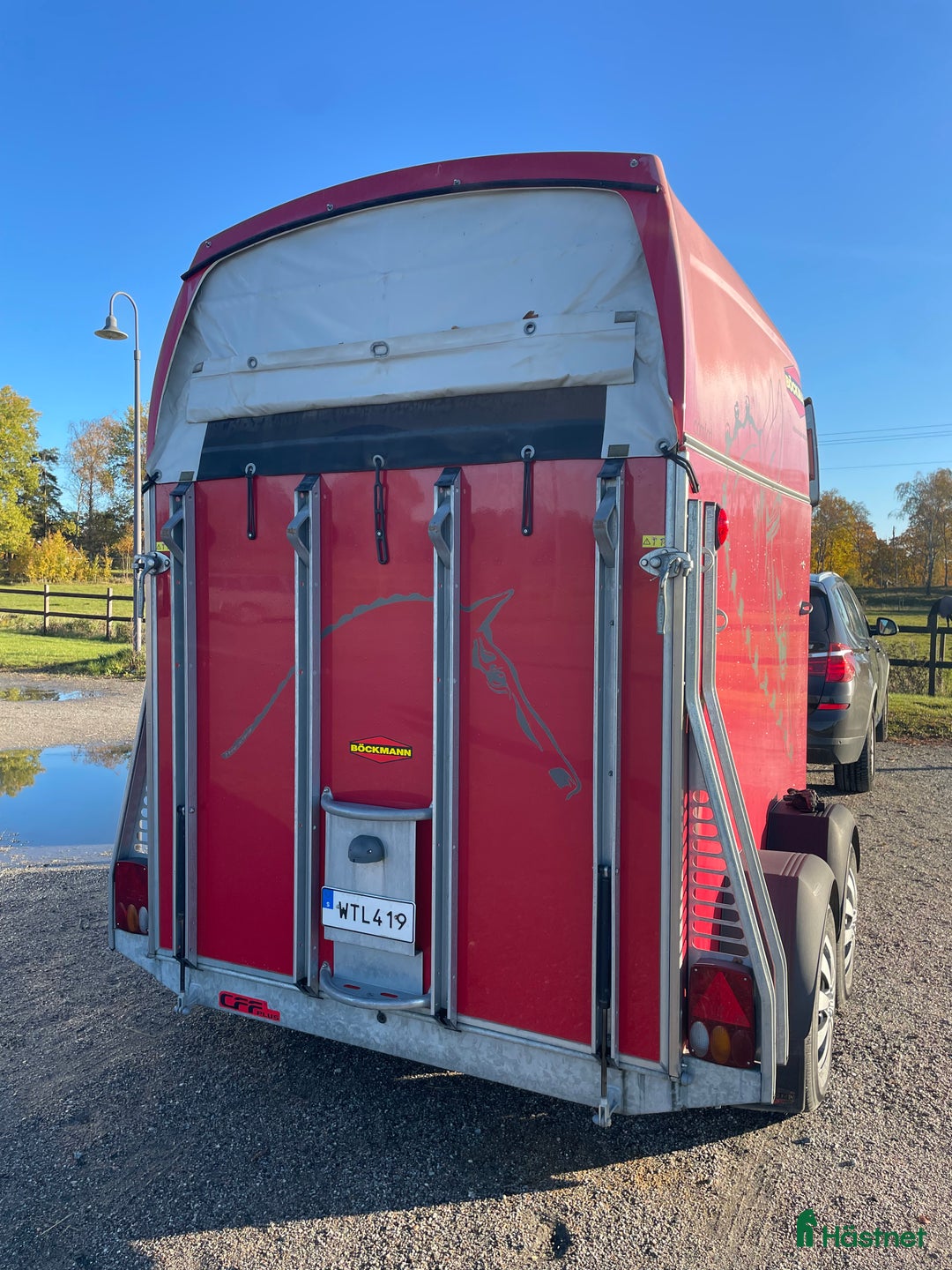 Hästtransporter  fordon & transport till salu: Böckman Comfort i Stockholm - Annons 2