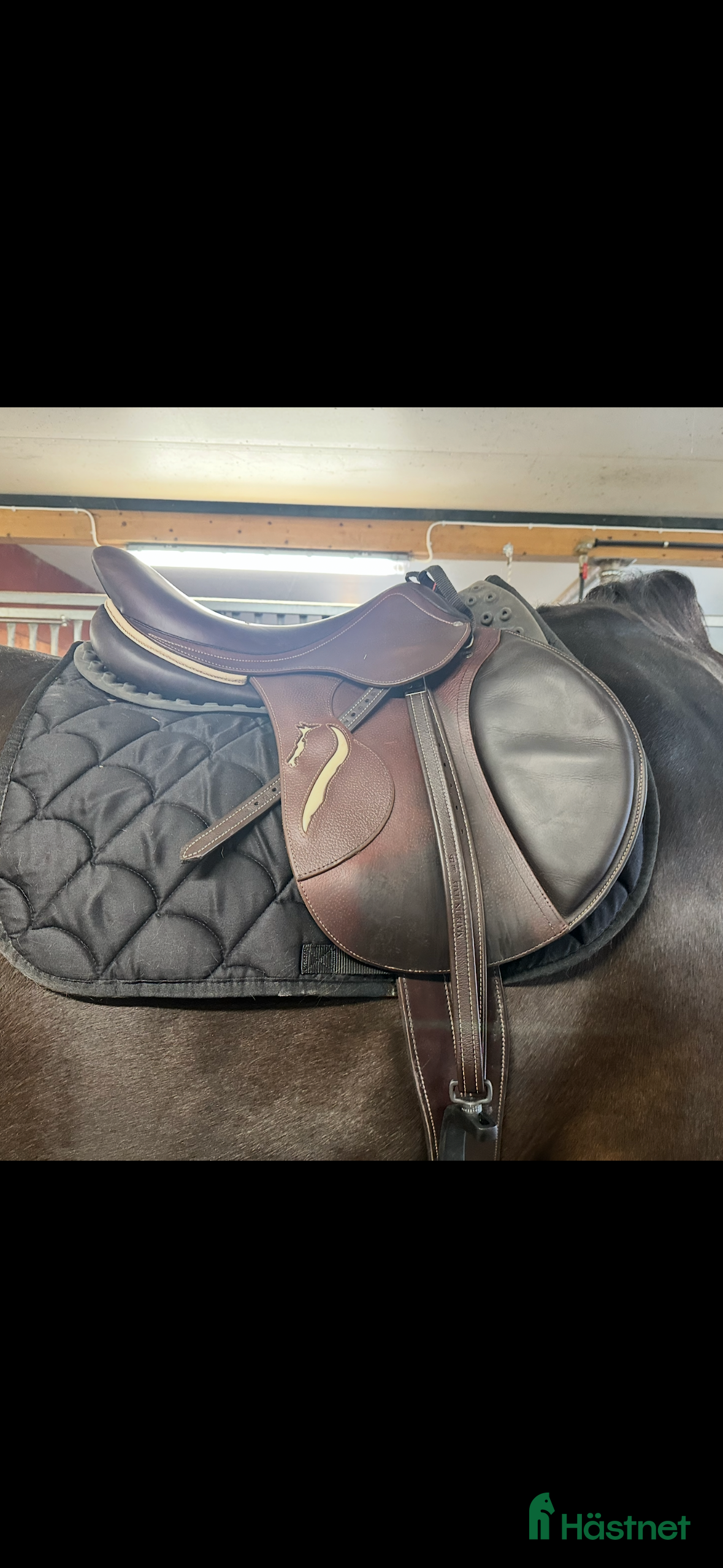 Sadlar hästutrustning till salu: Fin antares connexion  i Årsunda - Annons 15