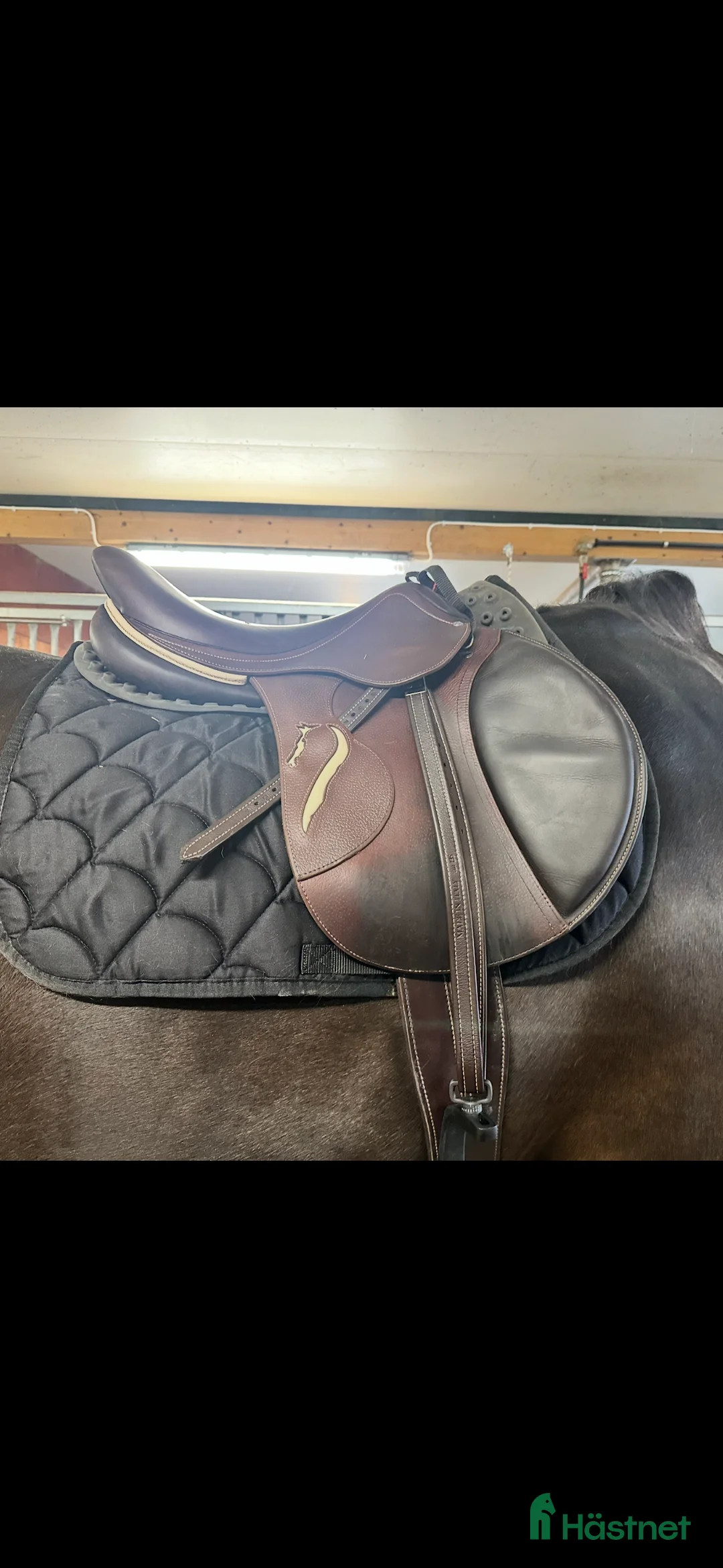 Sadlar hästutrustning till salu: Fin antares connexion  i Årsunda - Annons 1