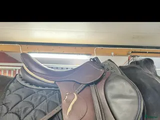 Sadlar hästutrustning Fin antares connexion i Årsunda - Annons 4