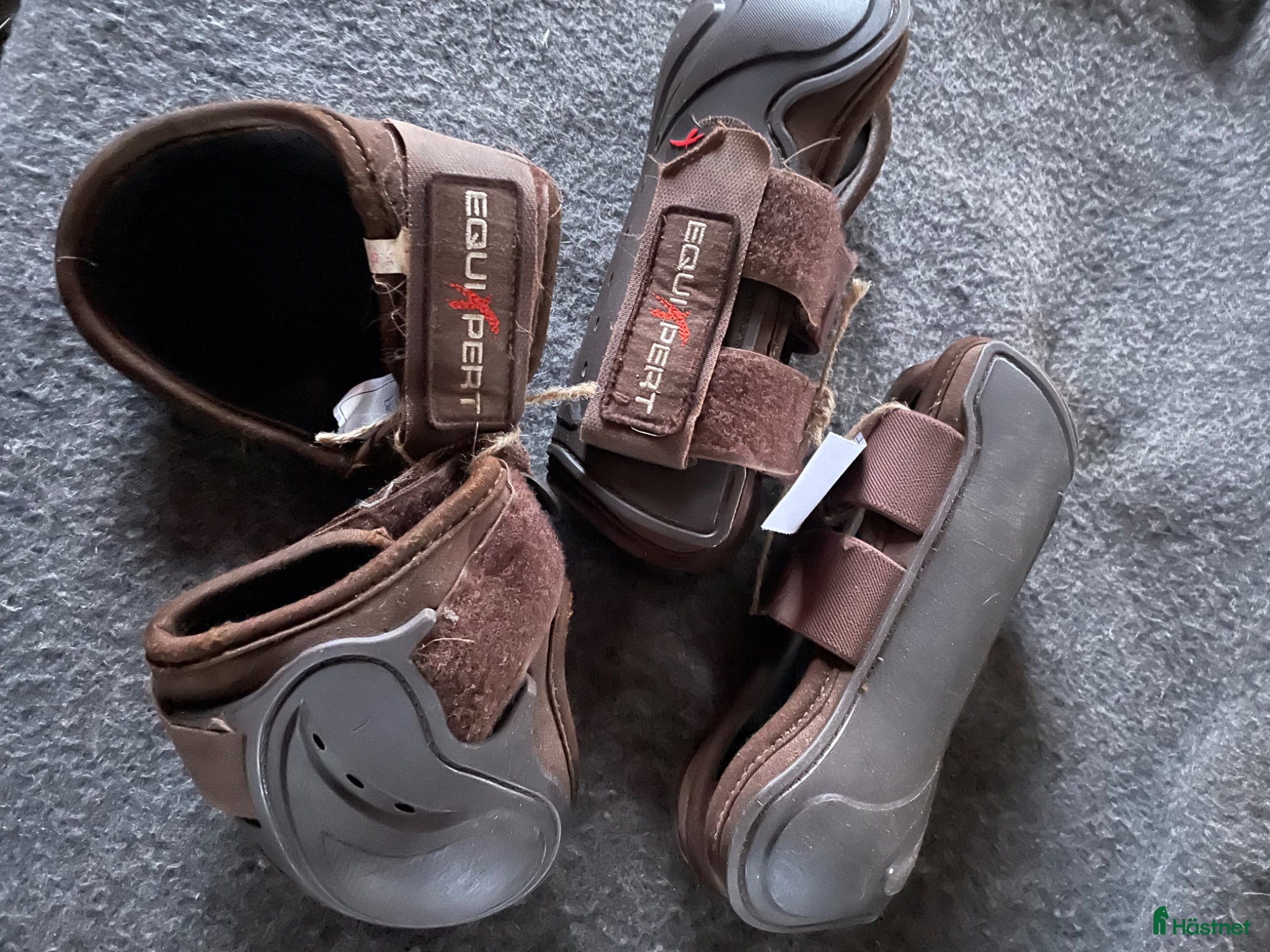 Benskydd hästutrustning Benskydd - Annons 8