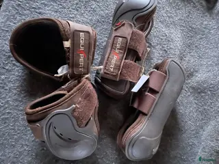 Benskydd hästutrustning Benskydd - Annons 8