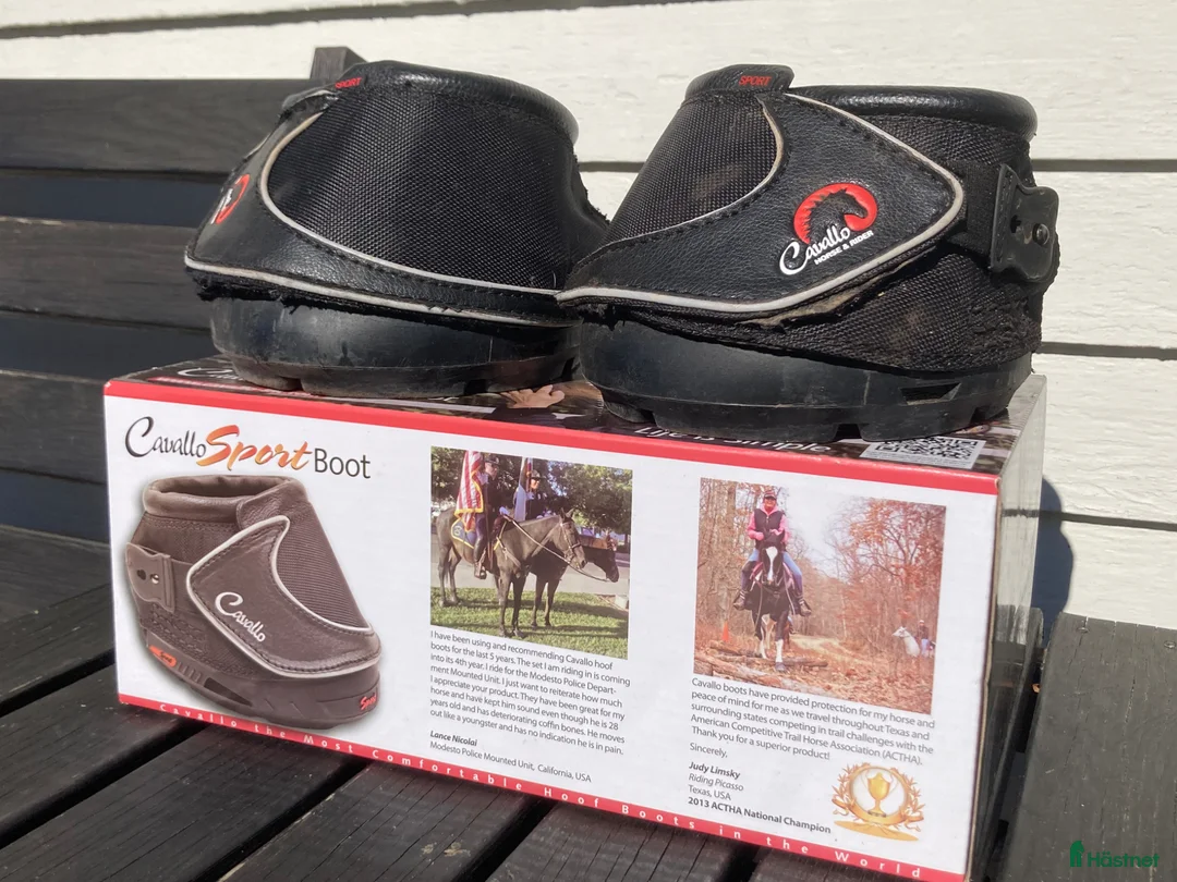 Övrig Hästutrustning hästutrustning till salu: Cavallo Sport boot i Visby - Annons 3