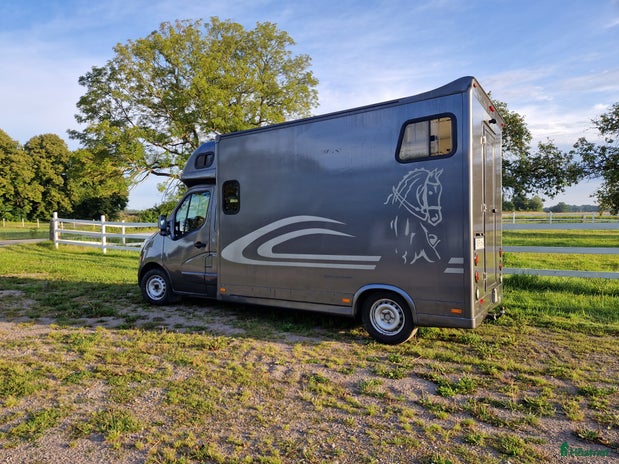 hästservice i Vassmolösa - Annons 12