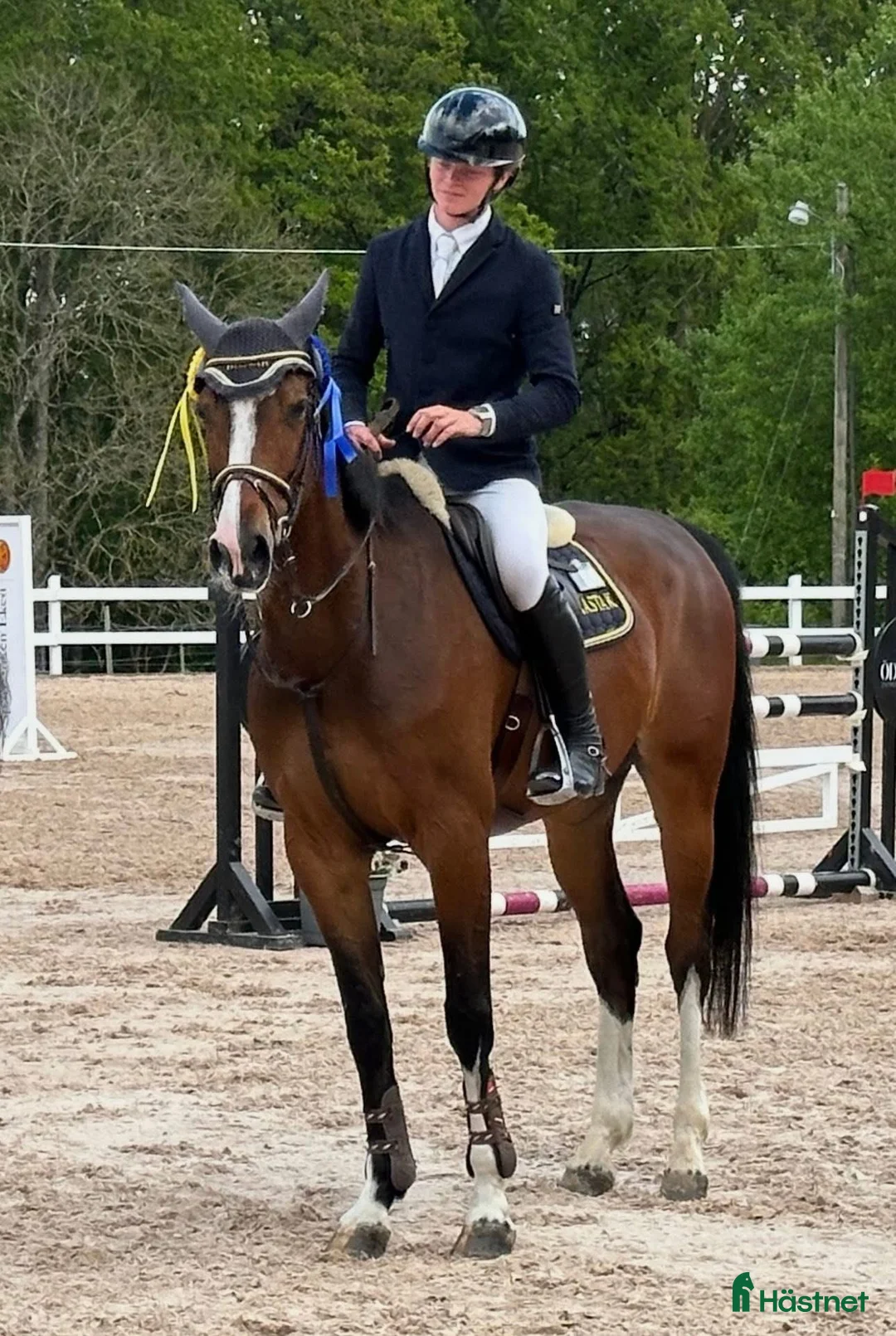  hästservice finnes: Catch Rider/Beridare/Unghästutbildare i Oxelösund - Annons 1