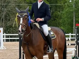 hästservice Catch Rider/Beridare/Unghästutbildare - Annons 12