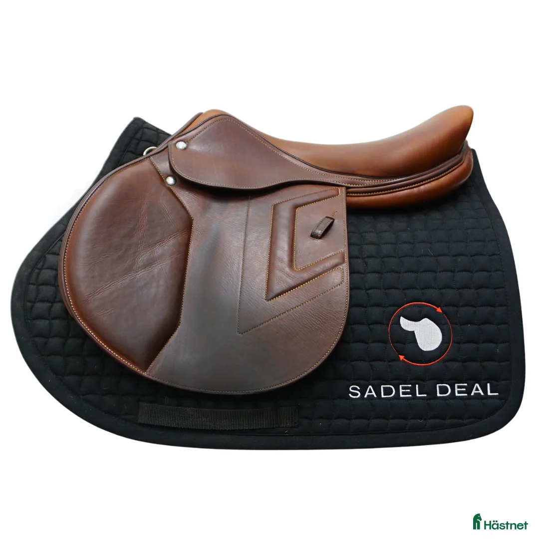 Sadlar hästutrustning till salu: Renaissance F2 18" - Annons 1