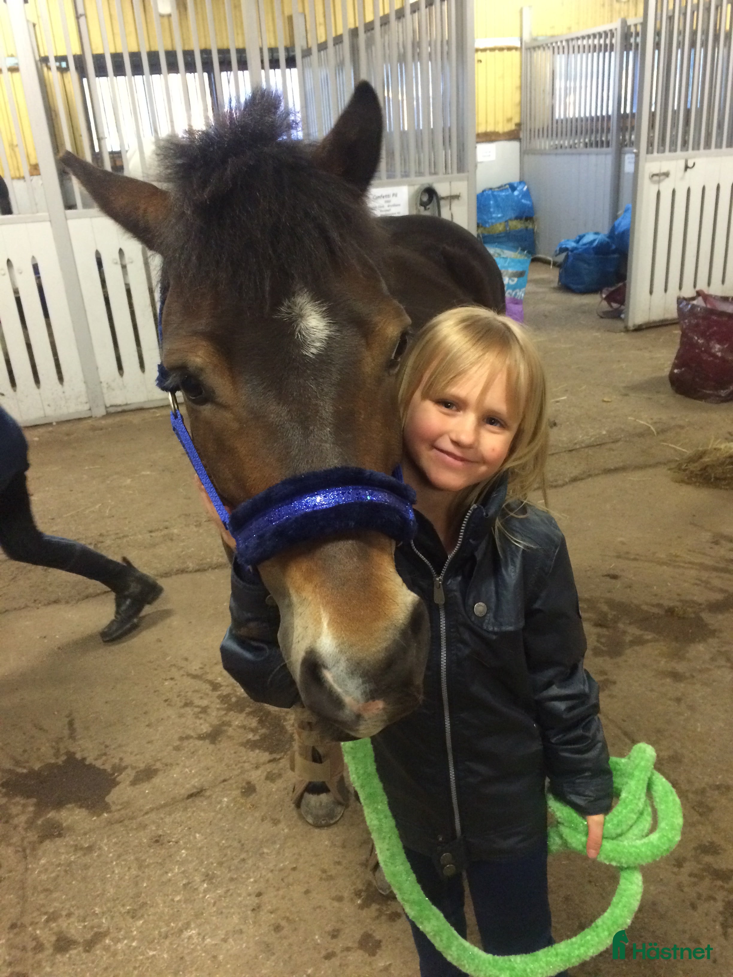  hästar Tierps Ryttarklubb söker ny arbetskompis  i Tierp - Annons 16