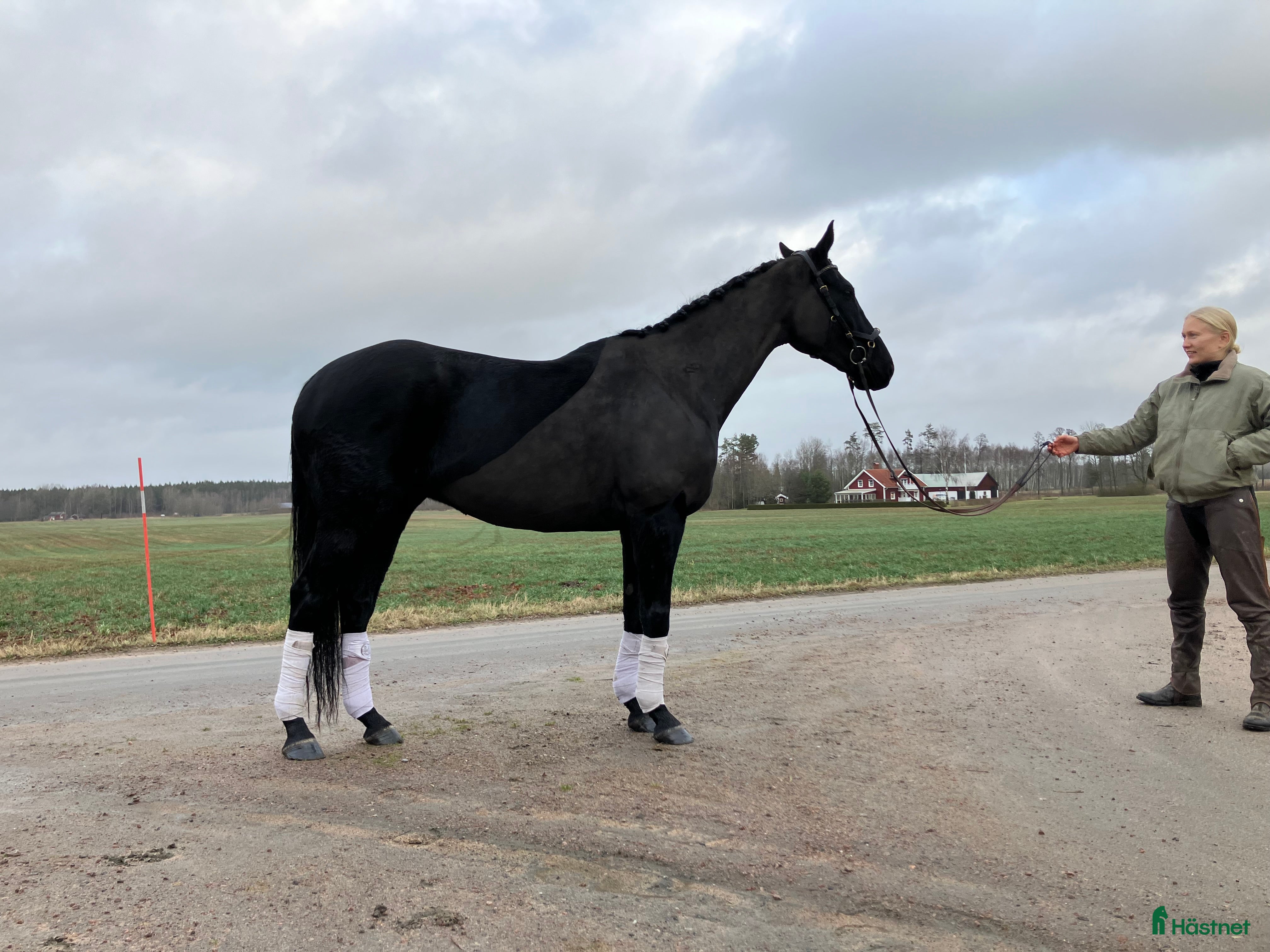  hästjobb finnes: Praktikplats finns  i Skara - Annons 1