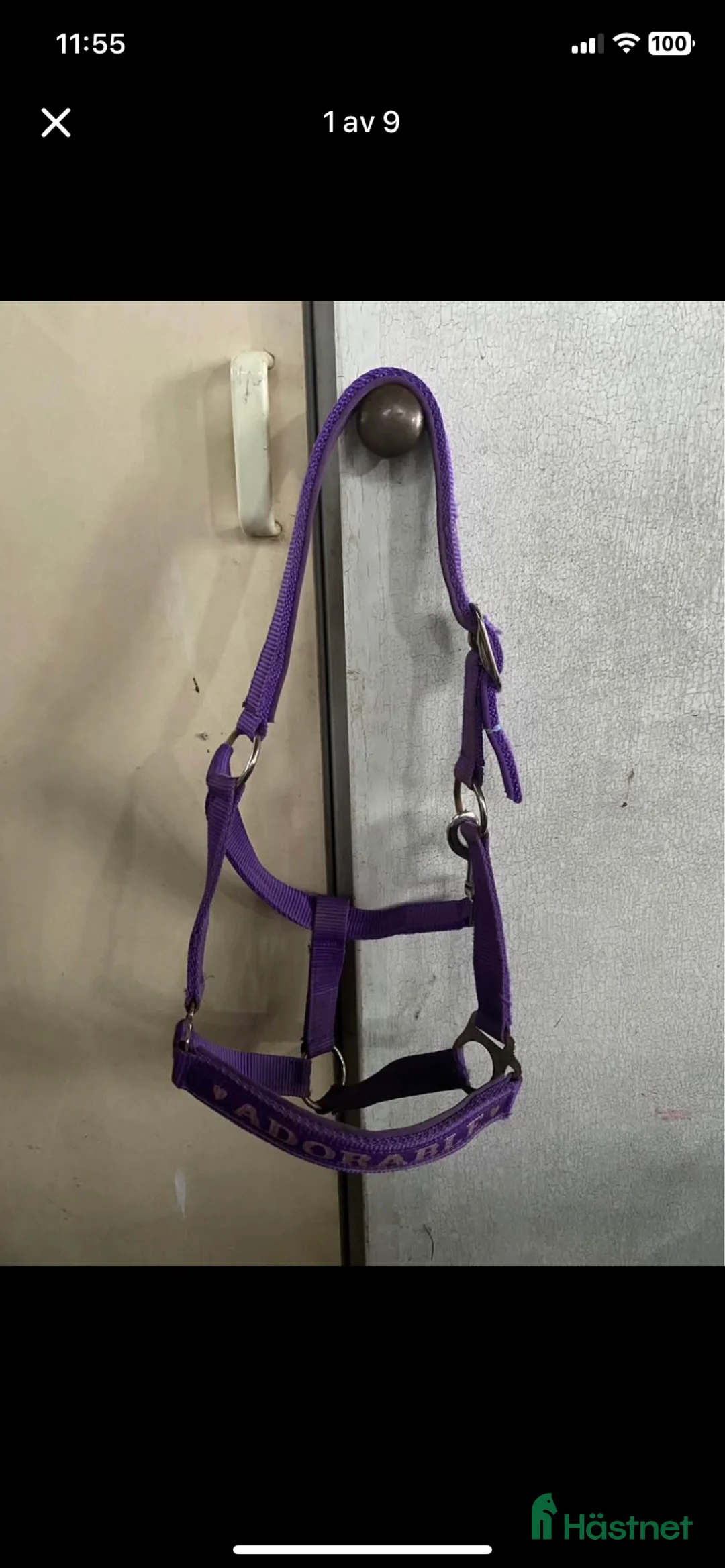 Övrig Hästutrustning hästutrustning till salu: Grimmor i Eskilstuna - Annons 9