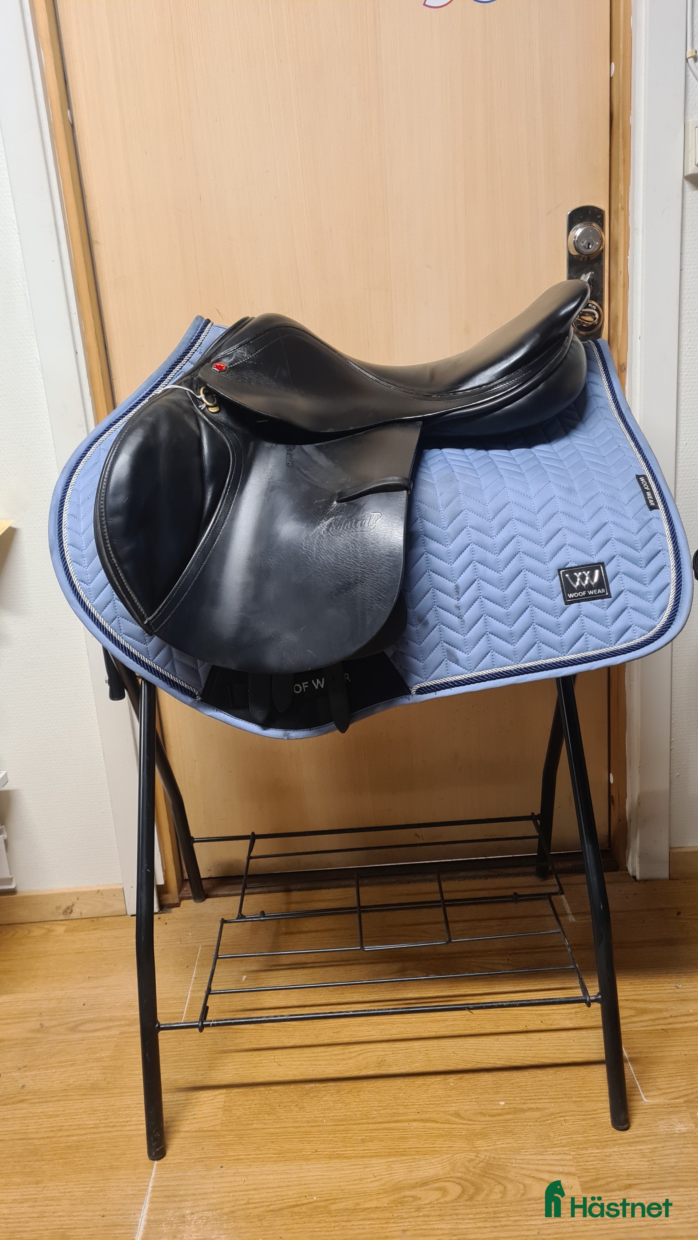 Sadlar hästutrustning till salu: Albion Kontrol i Hamneda - Annons 2