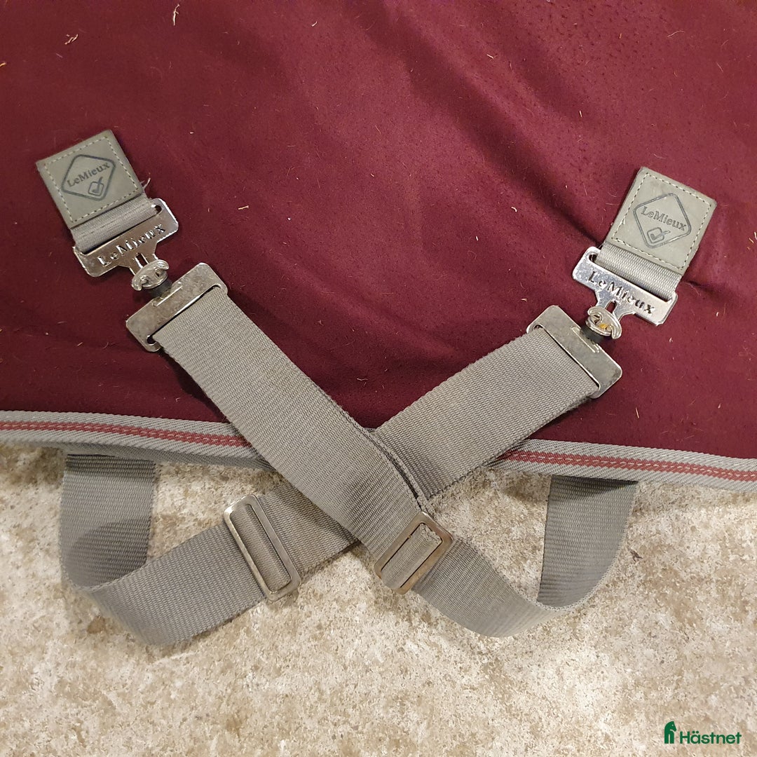 Täcken hästutrustning till salu: Lemieux Arika Jerseyfleece 135-140 i Tranås - Annons 11