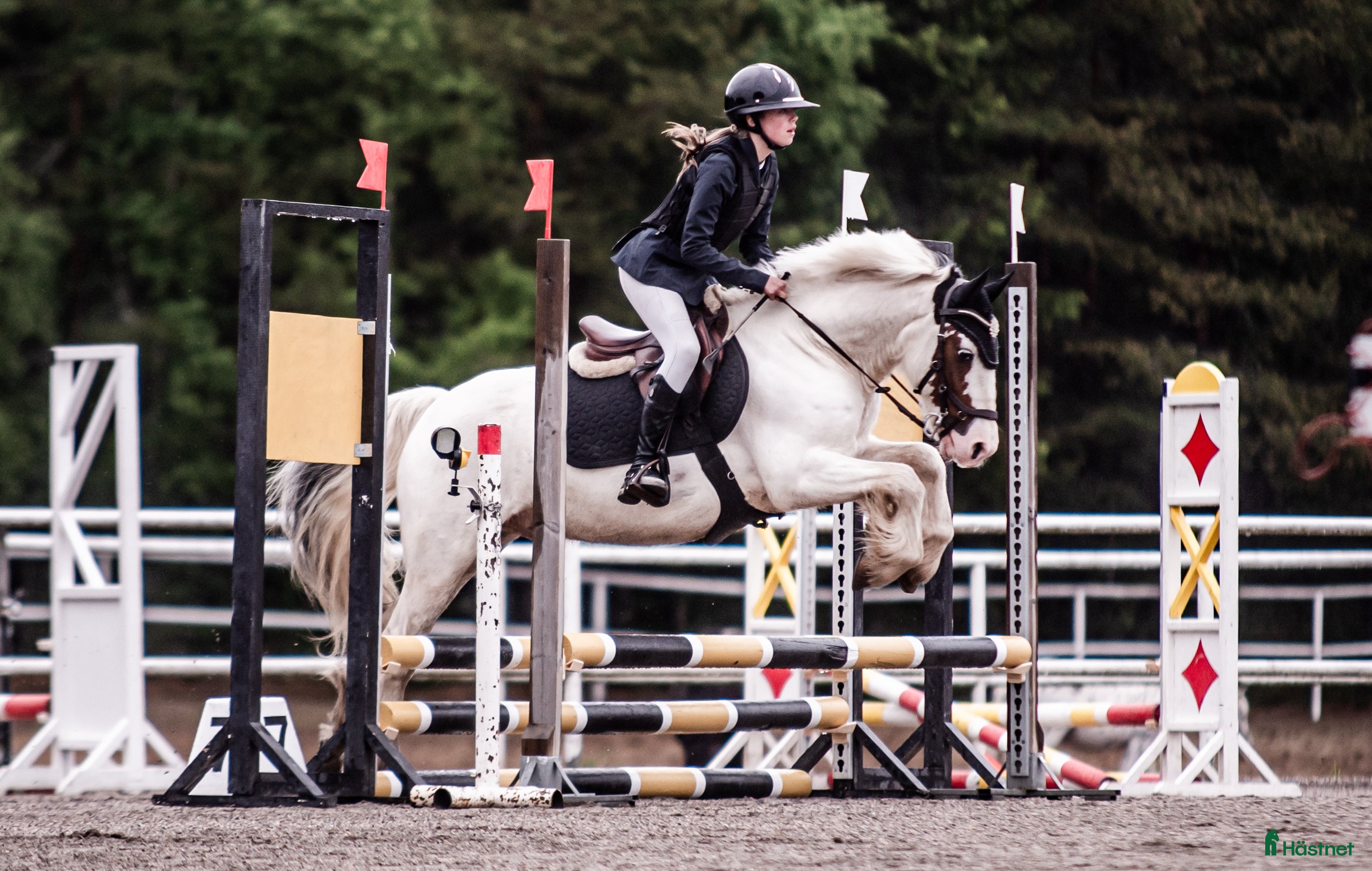  hästar B ponny med kapacitet  i Sundsvall - Annons 5