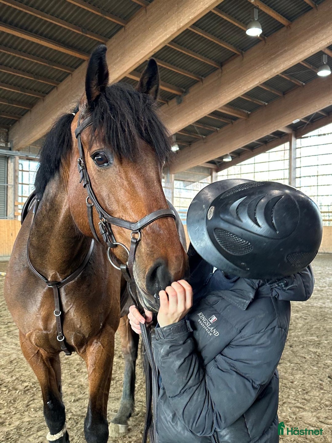 Hoppning hästar till salu: Super söt bästa vän!  i Vellinge - Annons 2