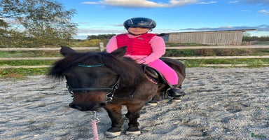  hästar i Kolbäck - Annons 5