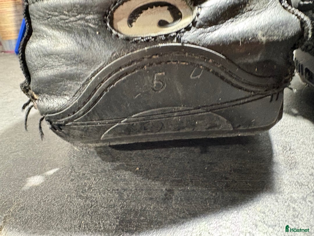 Övrig Hästutrustning hästutrustning till salu: Cavallo Sport Boots  i Vikbolandet - Annons 3