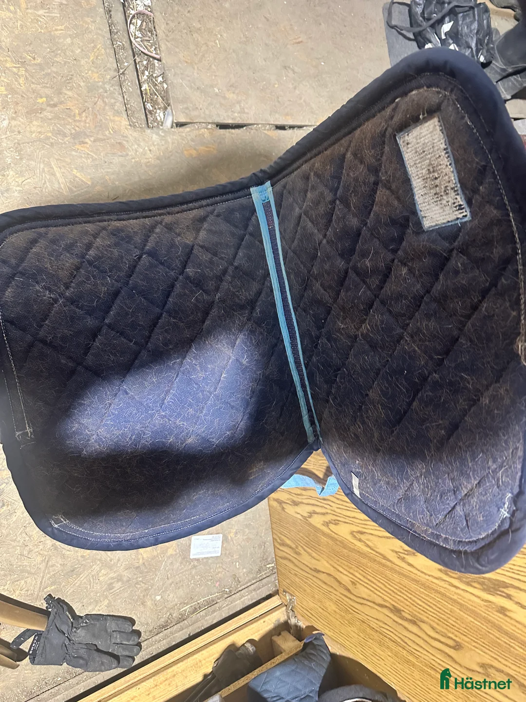 Övrig Hästutrustning hästutrustning till salu: Massa utrustning till salu - Annons 11