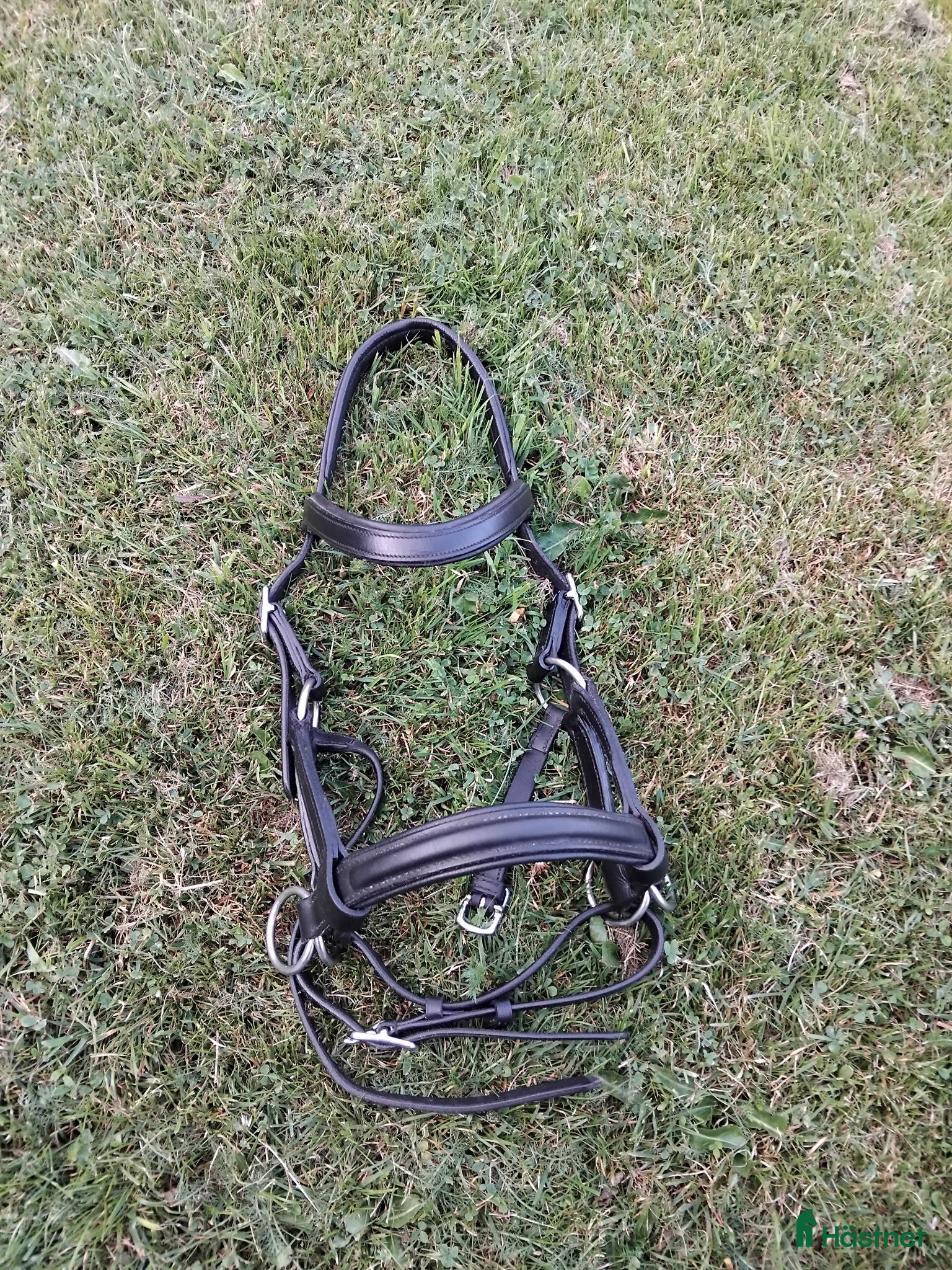 Träns hästutrustning Sidepull cob - Annons 1