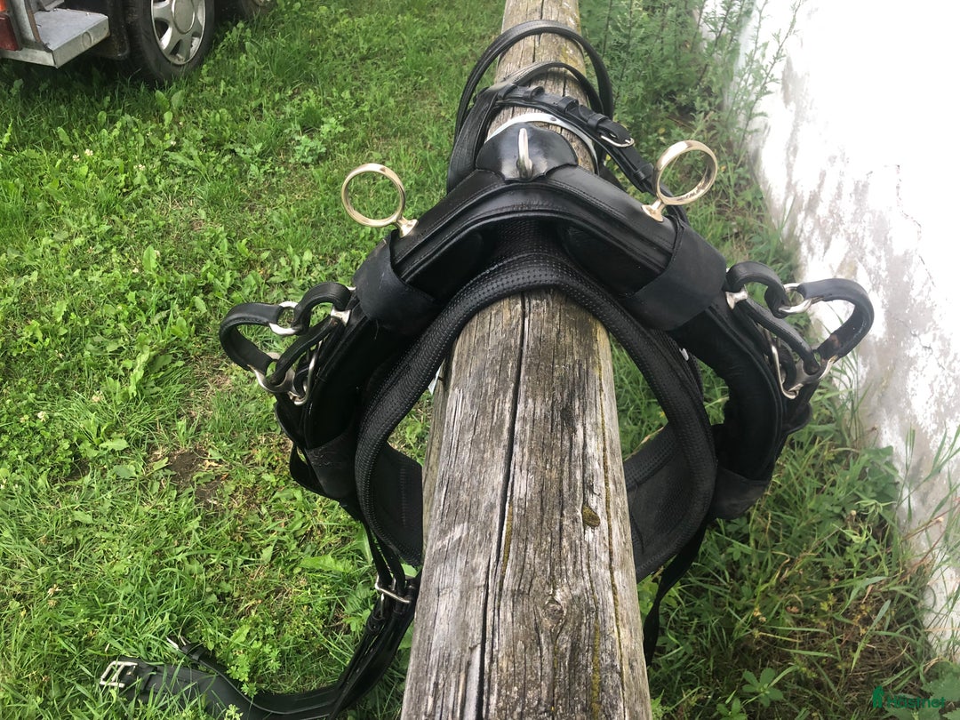 Körselar körning till salu: Fin Giggsele / Bröstsele i strl Full i Vallentuna - Annons 3