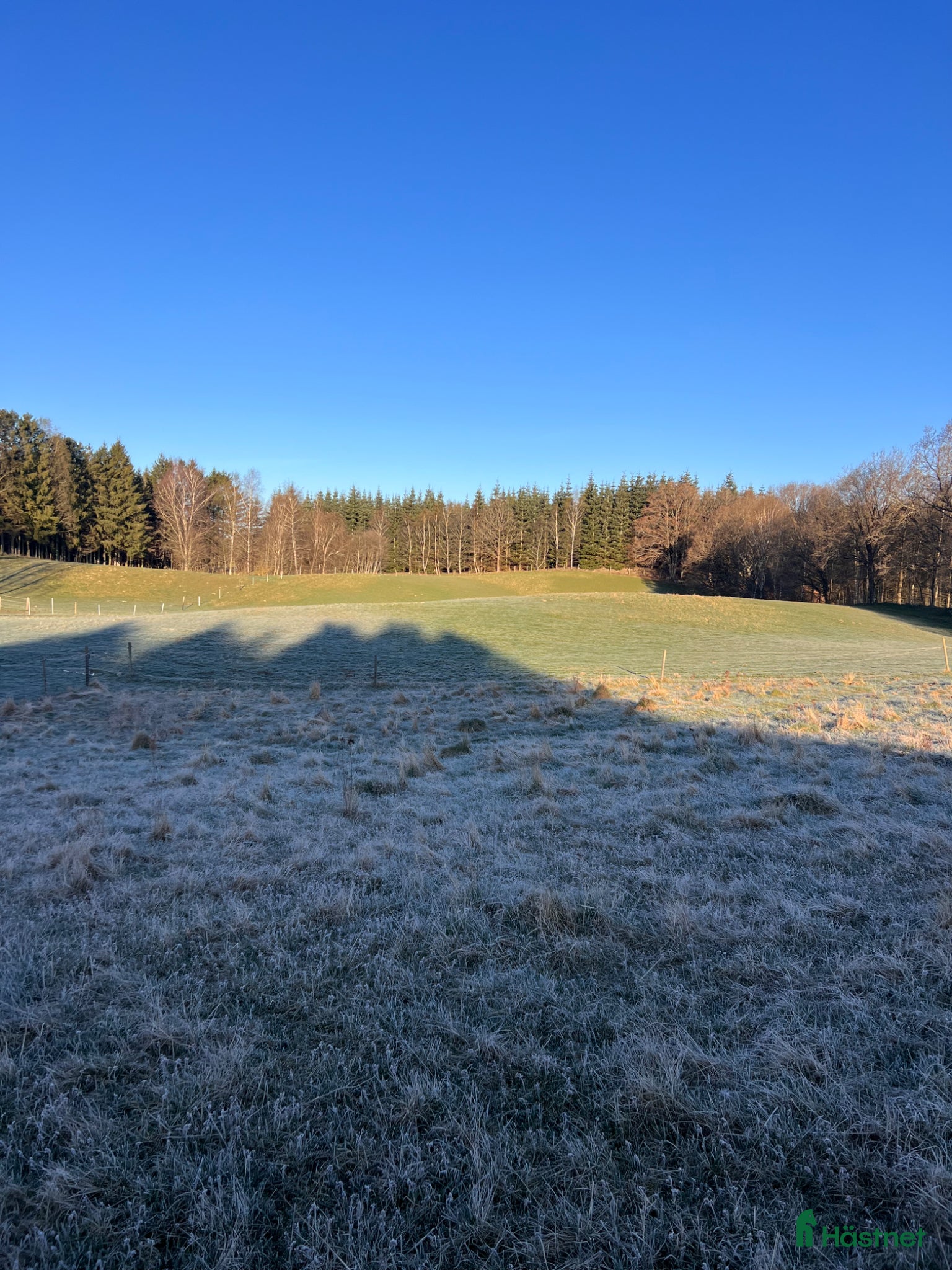  stallplats Lediga boxplatser i lugnt stall - Annons 6