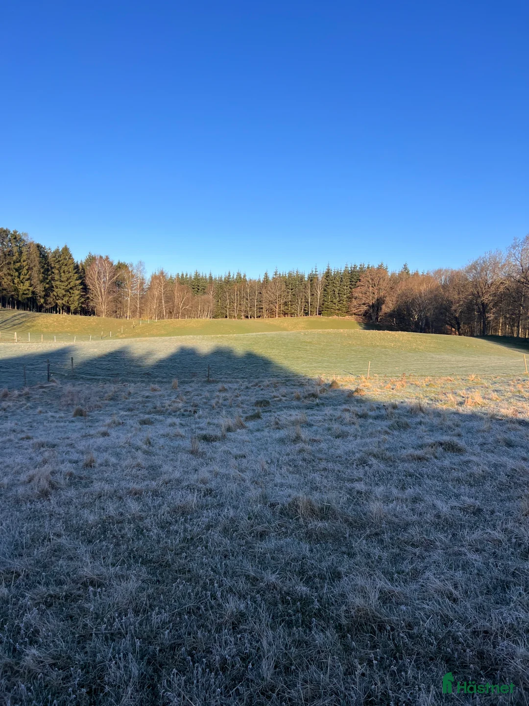  stallplats finnes: Lediga boxplatser i lugnt stall - Annons 1