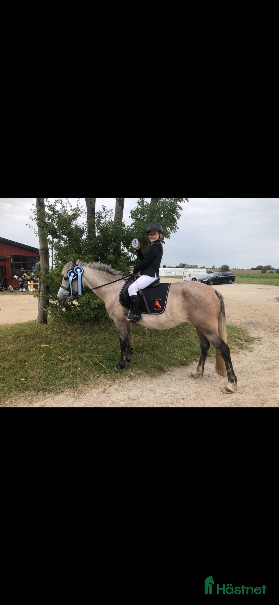 Allround hästar till salu: Fin B-ponny / tävlings ponny i Kävlinge - Annons 11