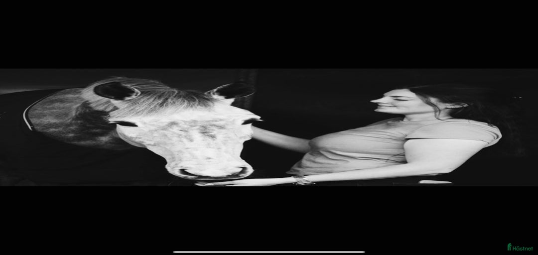 Galleribild {{count}}