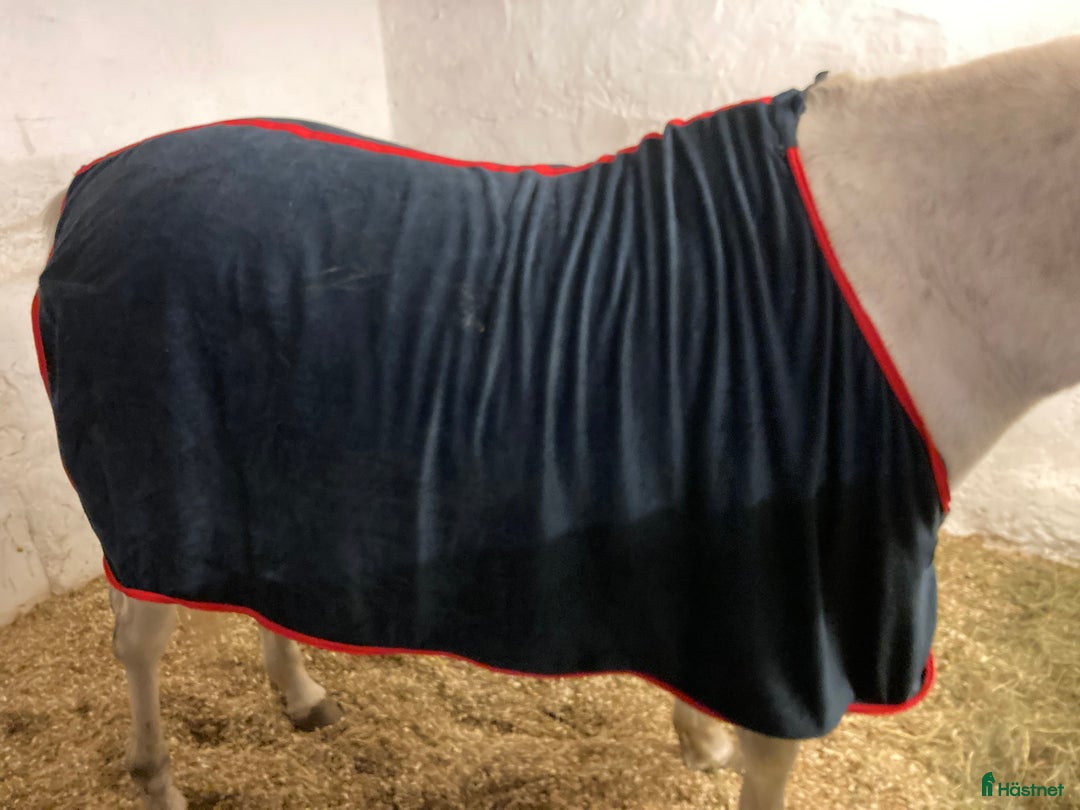 Täcken hästutrustning till salu: Blått fleece täcke  i Alnö - Annons 2