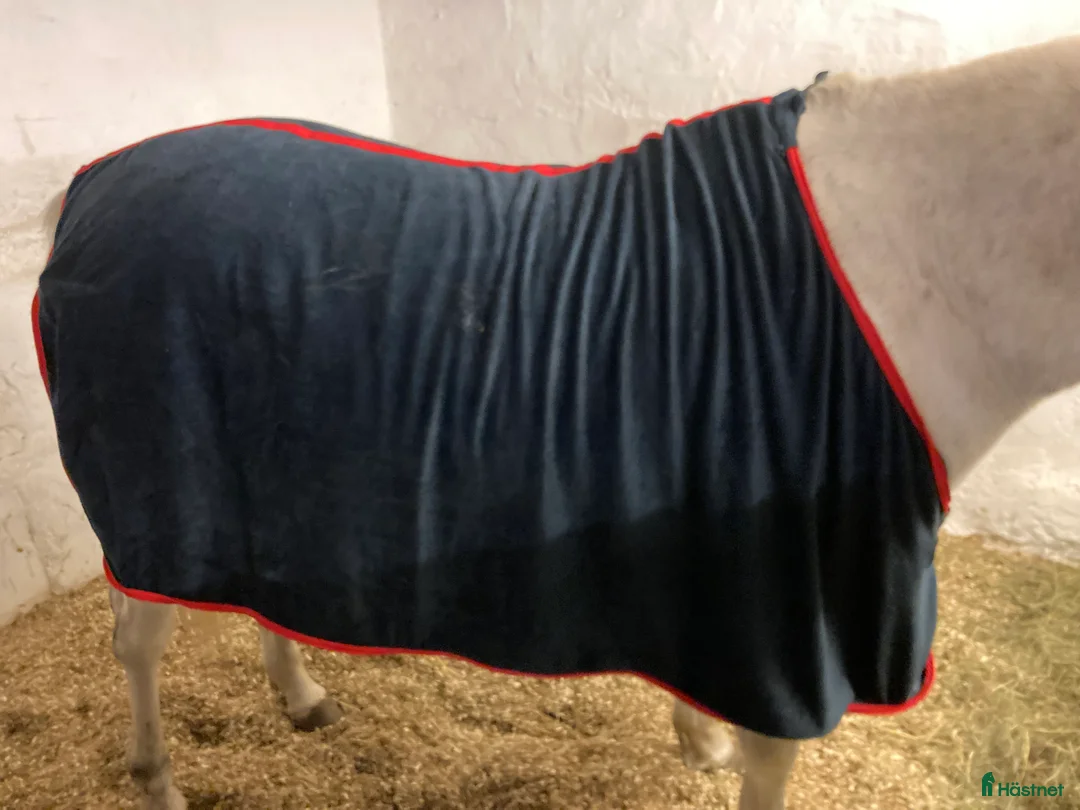 Täcken hästutrustning till salu: Blått fleece täcke  i Alnö - Annons 2