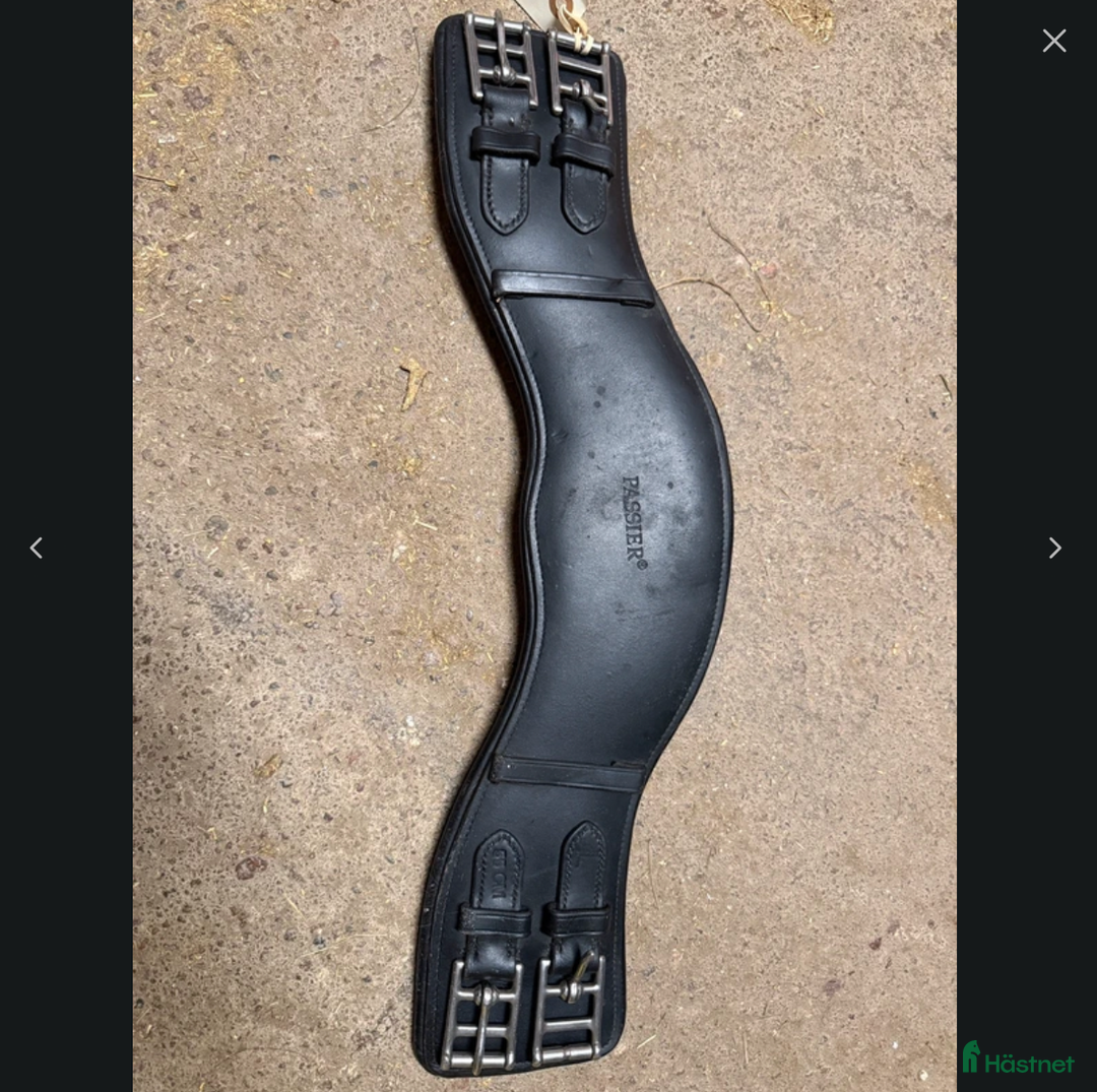 Sadeltillbehör hästutrustning till salu: Passier dressyrgjord i Kolbäck - Annons 1