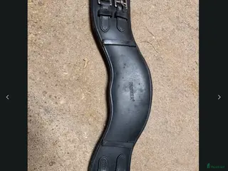 Sadeltillbehör hästutrustning till salu: Passier dressyrgjord - Annons 1