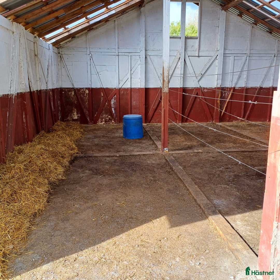  stallplats finnes: Lösdrift i Torslanda - Annons 5