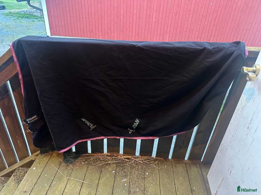 Täcken hästutrustning till salu: Svett täcke från Amigo, nyskick! i Forserum - Annons 3