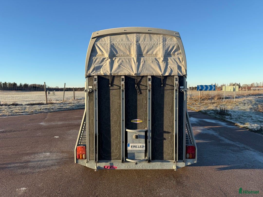 Hästtransporter  fordon & transport till salu: Böckmann DUO R - Momsad! i Borlänge - Annons 5