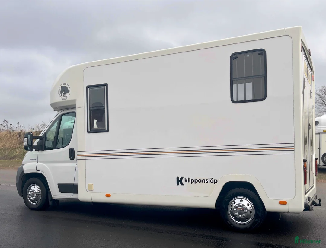 Hästlastbilar  fordon & transport till salu: Boj Wagon/Fiat Ducato 3,0JTDCM i Klippan - Annons 4