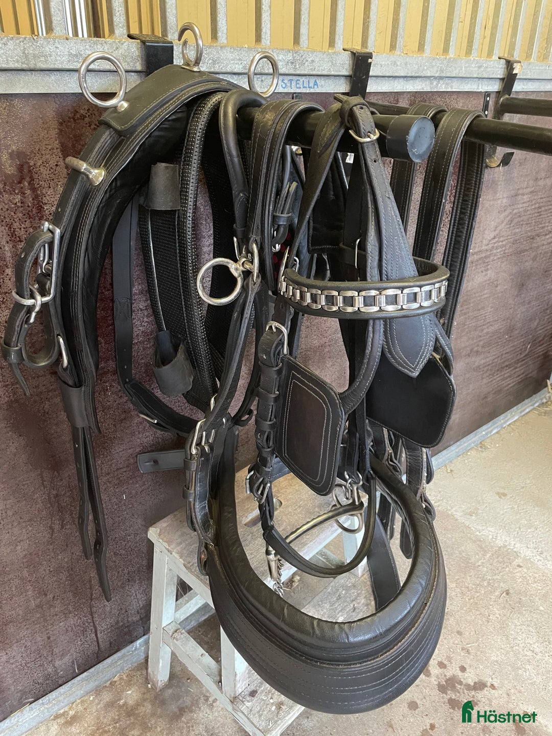 Körvagnar körning till salu: Maratonvagn och bröstsele. i Malmköping - Annons 5