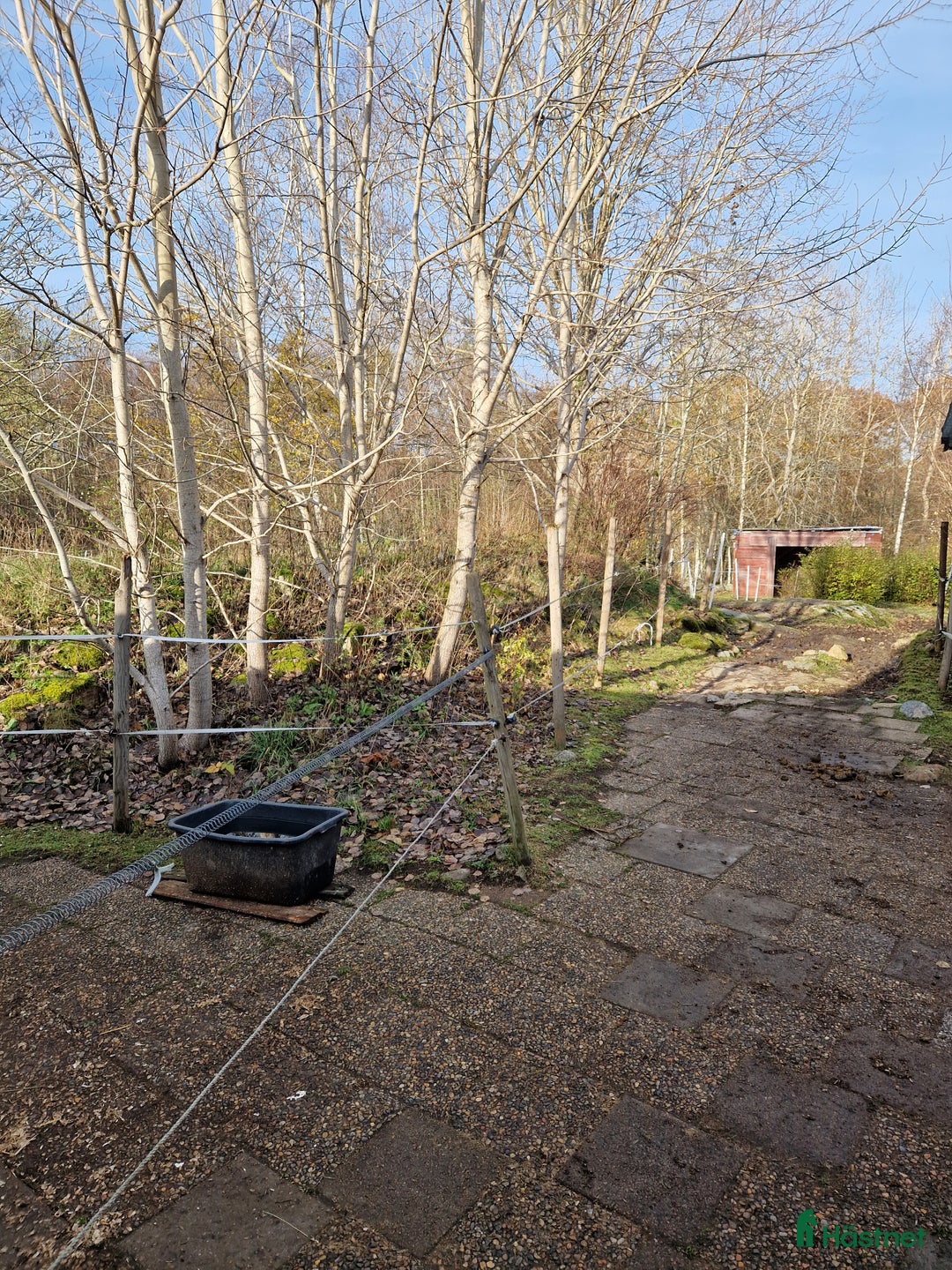  stallplats finnes: Ledig lösdrift I Hisings kärra (Gerrebacka) i Hisings Kärra - Annons 9