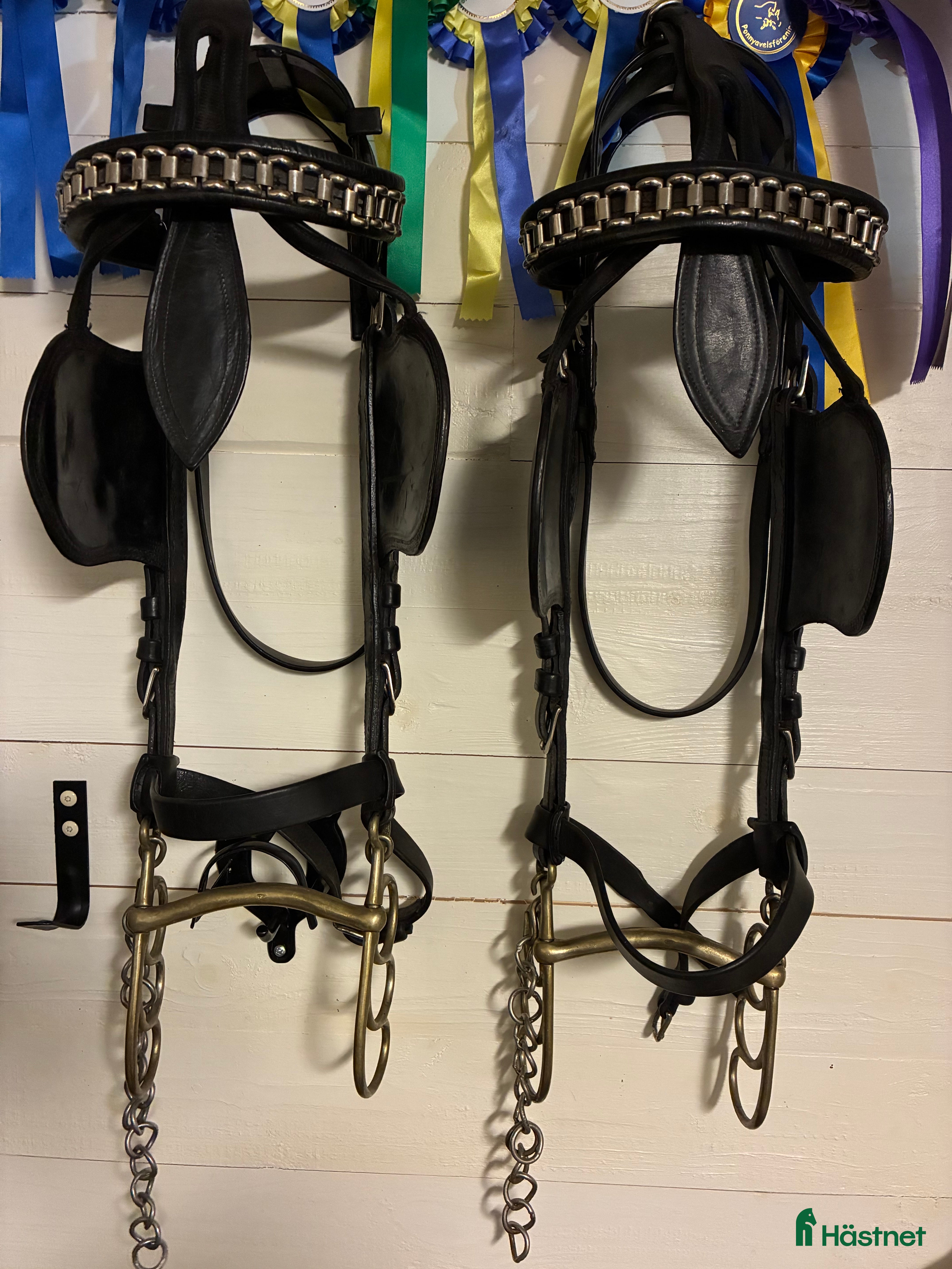 Övrig Körutrustning körning till salu: Ylanders Huvudlag m Postkandar i Knivsta - Annons 3