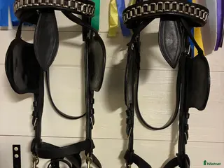 Övrig Körutrustning körning till salu: Ylanders Huvudlag m Postkandar i Knivsta - Annons 3