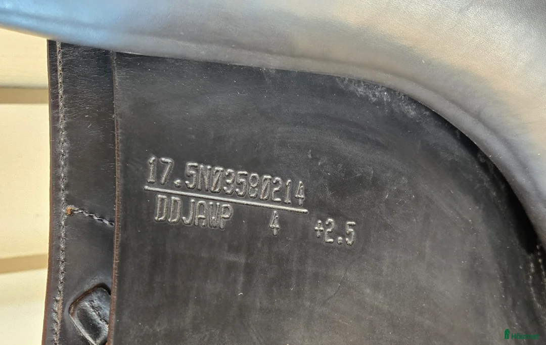 Sadlar hästutrustning till salu: Amerigo DJ  i Norrköping - Annons 5