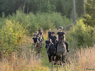 hästservice Julklappstips! Ridläger sommaren 2026 i Lidköping - Annons 1