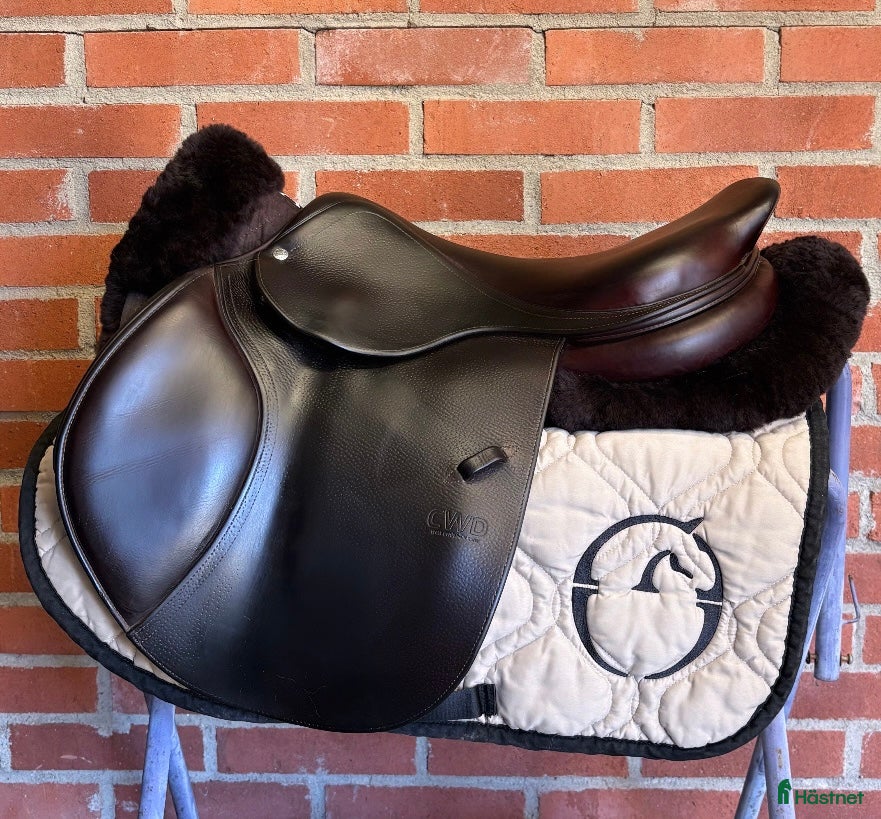 Sadlar hästutrustning CWD SE02 - Annons 19