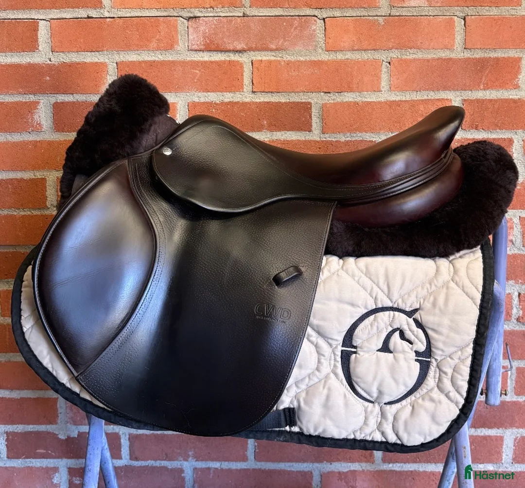 Sadlar hästutrustning till salu: CWD SE02 - Annons 1