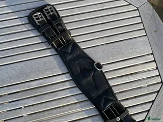 Sadeltillbehör hästutrustning till salu: Dressyrgjord i Ytterby - Annons 2