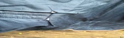Täcken hästutrustning till salu: Horseware 145cm 100gr. - Annons 14
